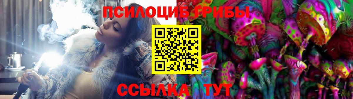 Псилоцибиновые грибы Psilocybe Луга
